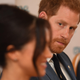 Illustration for article titled Its Horny Time for Prince Harry